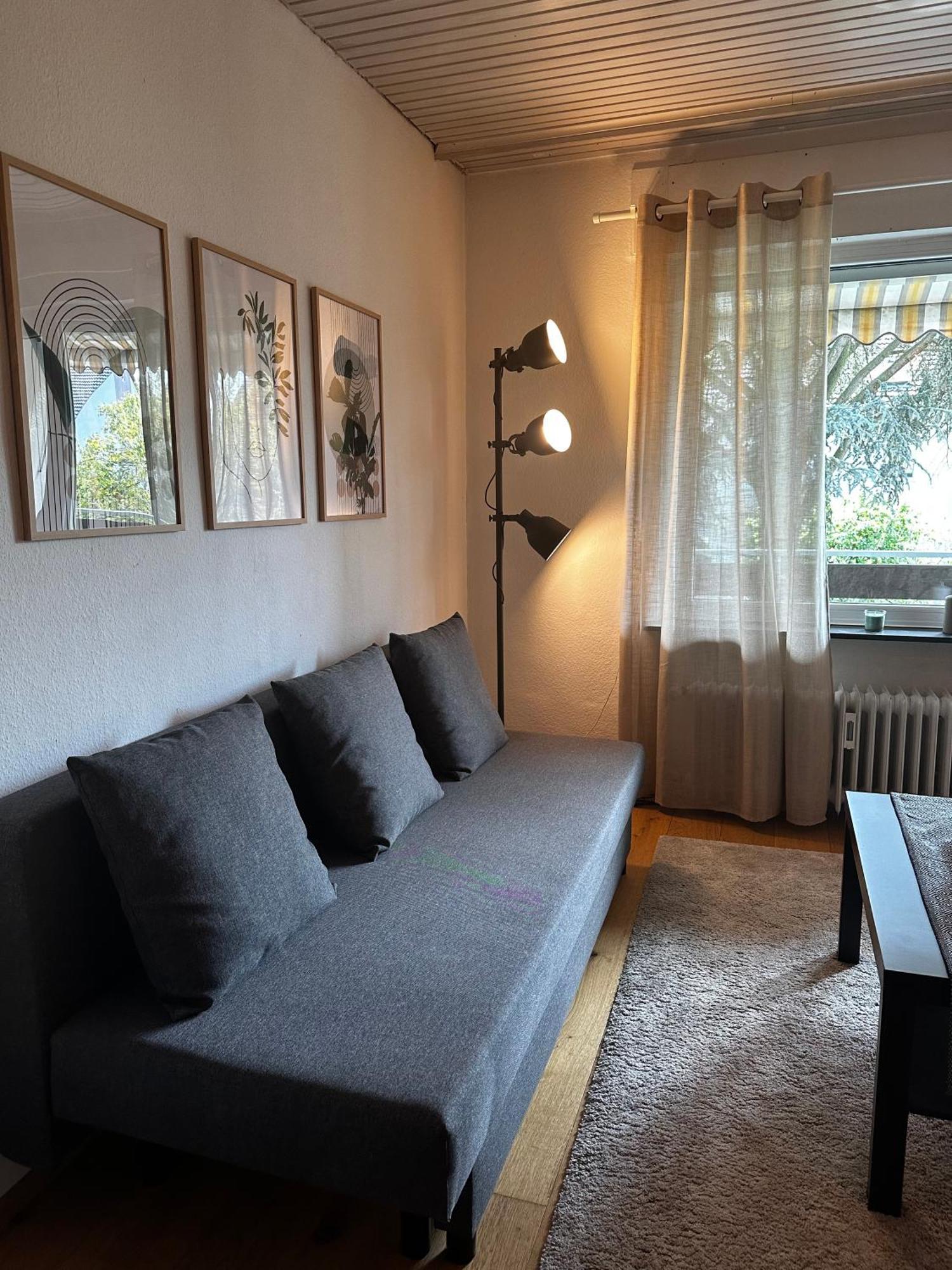Gemuetliche Wohnung 卡尔斯鲁厄 外观 照片